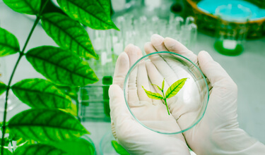 Humer efficacité testée Humer efficacité testée