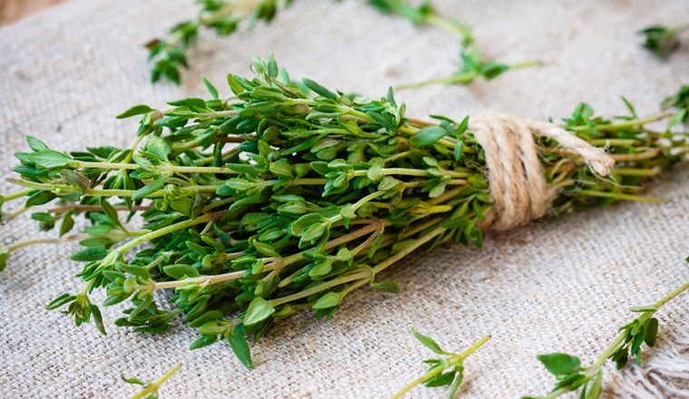 thym plantes et ingredients thym plantes et ingredients